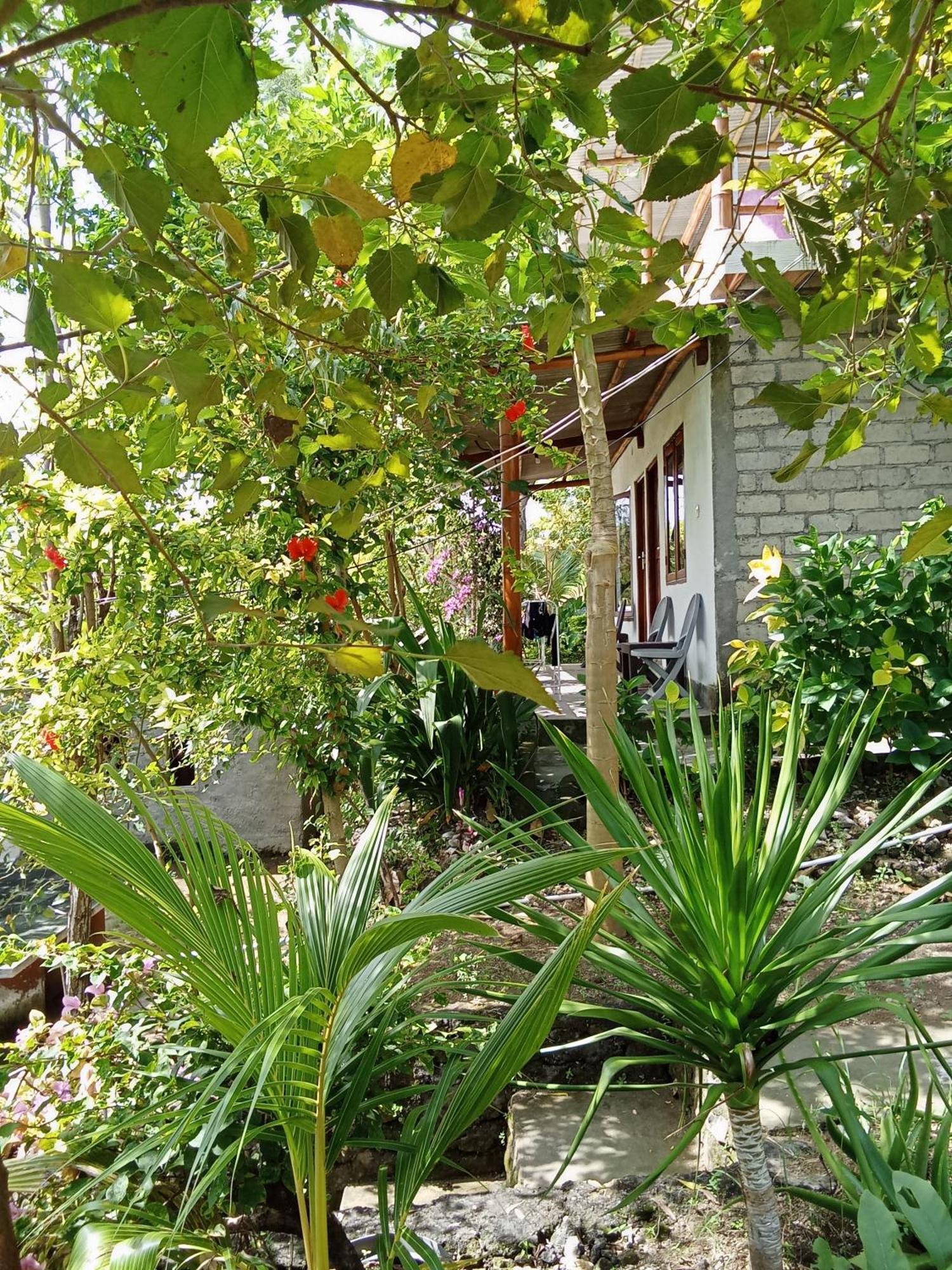 Feby'S Homestay Ekas Zimmer foto